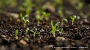 Frühlingsfit ins Gartenjahr