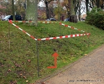 Direkt am viel benutzen Weg am Knieperteich auf Höhe Theater: Ein gut sichtbares Loch in der Böschung ist der Eingang zum Nest der Erdwespen, zur Sicherheit von der Stadtverwaltung  deutlich abgesperrt.