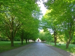 Zentralfriedhof - Blick zur Trauerhalle