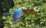 Sommer im Zoo, Foto: Torsten Gruber