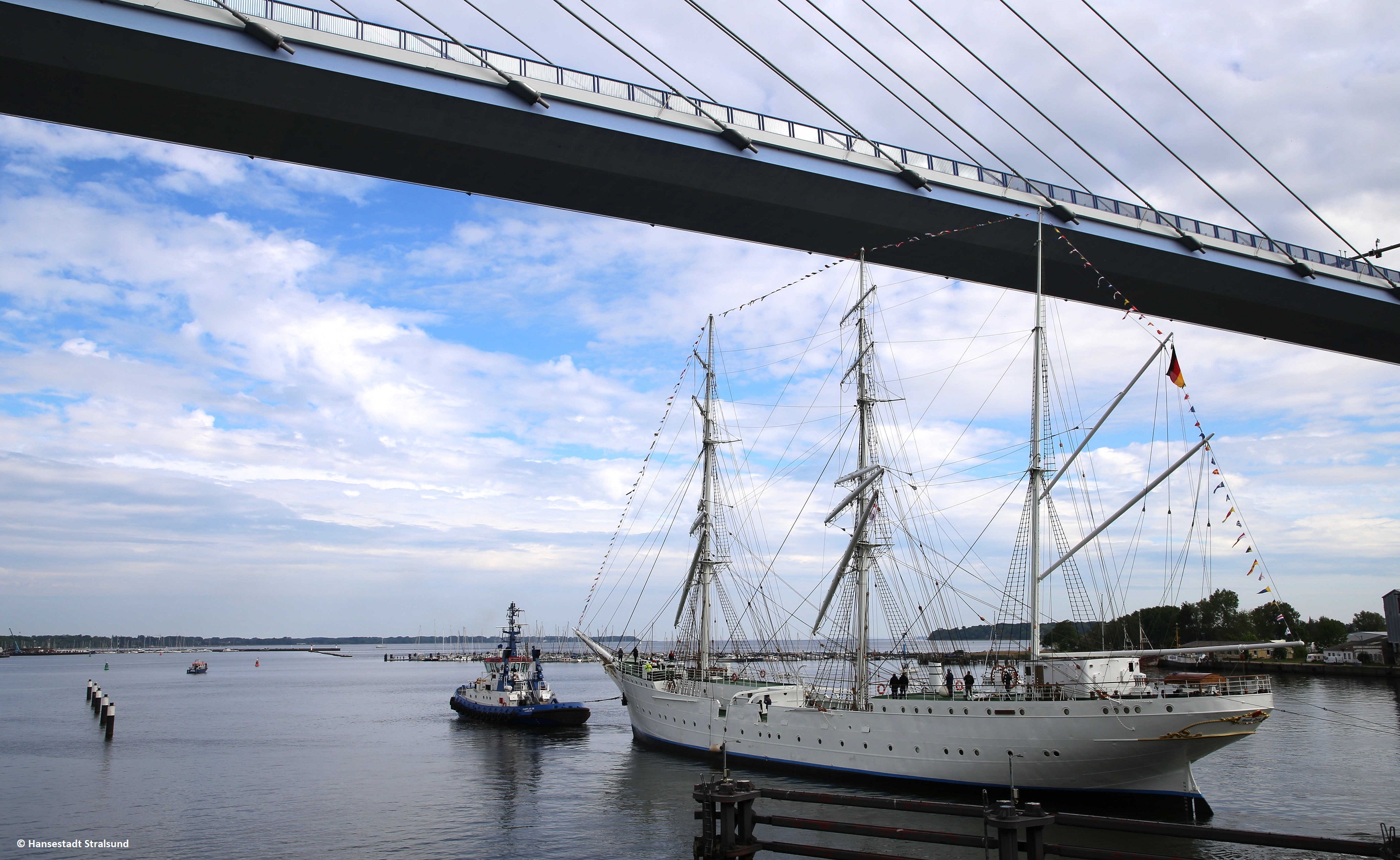 2 - Die GORCH FOCK (I) passiert die Rügenbrücke